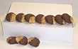 Scott's Cakes Half-Dipped Sniker Doodle Cookies with Milk Chocolate in a White Gourmet Box