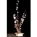The Art Of Ikebana Vase - Square/white