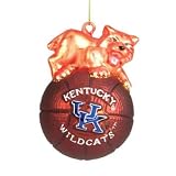 NCAA Kentucky Wildcats Glass Mascot Basketball 5