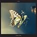 Isam (Vinyl)