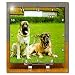 Dogs Mustiff - Mastiff - Desk Clocks