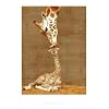 First Kiss (Giraffe with Baby) Art Poster Print - 16x20 Mini Poster Print, 16x20 Collections Mini Poster Print, 16x20