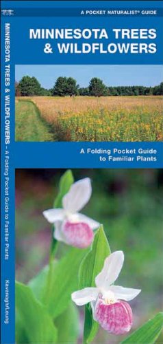 minnesota trees  wildflowers a folding pocket guide to familiar species pocket naturalist guide series