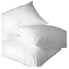 Homescapes Oreiller ou Coussin naturel de LUXE 60 x 60cm. Plumes de canard anti acarien, FRAIS l'�t� et CHAUD l'hiver