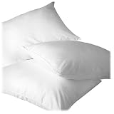 Homescapes Oreiller ou Coussin naturel de LUXE 60 x 60cm. Plumes de canard anti acarien, FRAIS l'�t� et CHAUD l'hiverpar Homescapes
