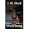 Relatively Obscure Indie Fantasy