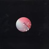 Destiny [12" VINYL]