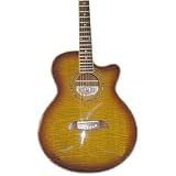 Oscar Schmidt  OC11 Acoustic Electrics OG10CEFYS