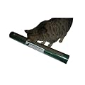 Animal Planet Squid Wand Cat