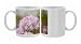 Photo Mugs of Meadow rue (Thalictrum aquilegifolium) from Science Photo Library