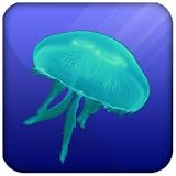 Jellyfish Live Wallpaper