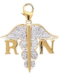 14K Yellow Gold Diamond RN Charm