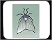 Mouse Pad with bug, insect, housefly, south, United States, fly