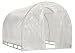 Weatherguard Greenhouse, 6 By 12 Feet