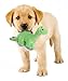 goDog Dinos Bruto Tough Plush Dog Toy with Chew Guard Technology, Green, Small
