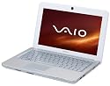 Sony Vaio VPCW11S1E/W.G4 10.1 Zoll Netbook (Intel Atom N280 1.6GHz, 1GB RAM, 160GB HDD, Intel GMA 950, XP Home)
