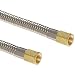 Unisource TSCZ PTFE Braided Pigtail Hose Assembly, Brass NPT Female x NPT Female Connection