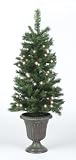 2 each: Montana Pre-Lit Porch Pine Tree (BOWO507019ACEN)