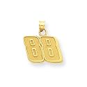14K Gold NASCAR Dale Earnhardt Jr #88 Large Charm