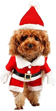 Rocpet Pet Christmas Santa Claus Suit Costume for Small Boy Dogs &amp; Male Cats Jumpsuit Winter Coat Warm Clothes (M)