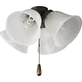 Progress Lighting P2643-46 Four-Light Universal Fan Light Kit with Alabaster Style Glass, Weathered Bronze