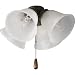 41nrwjEY0qL. SL75  Hunter 20436 Beacon Hill Three Light 42 Inch Five Blade Ceiling Fan, White with Frosted Globes