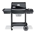Weber-Stephen 3711179 Spirit E 210 classic open cart