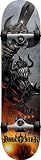 Darkstar Blast Complete Skateboard, Silver, FUL7.5