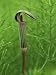 Jack-In-The-Pulpit Flower Amid Green Equisetum Ferns in Springtime, Michigan, USA Giclee Poster Print by Mark Carlson, 18x24