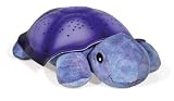 Twilight Turtle Purple