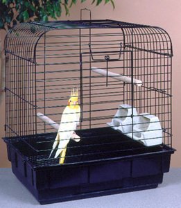 Penn Plax Square Cockatiel Bird Cage-DK7E