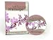 infertility20 - Self Fertility Massage DVD