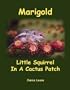 Marigold  Little Squirrel In A Cactus Patch