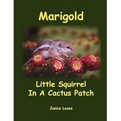 Marigold Little Squirrel in a Cactus Patch