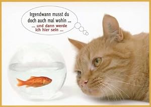 witzige geburtstagssprüche zum 60