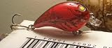 41nsP7ePoeL. SL160  Bomber Square a Bass Fishing Crankbait Red Craw Color
