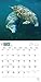 Manatees 2016 Calendar