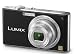 Panasonic DMC FX33 (Black)