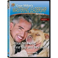 Cesar Millan's Mastering Leadership Series Volume 3: Your New Dog: First Day And Beyond