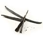 Madagascar Vanilla Bean (0.3 ounce) by igourmet.com