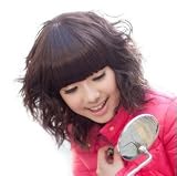 New style women fashion short curly DARK BROWN Pony BOB Synthetic hair wig party Wigs jf010303