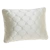 Barbara Barry Dream Silk 15-inch by-20-inch Boudoir Pillow, Ivory