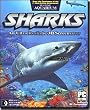 Sharks: Terrors of the Deep 2.0