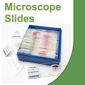 Microorganisms Elementary Microscope Slide Set