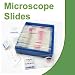 Mosquito Life Cycle, w.m. Microscope Slide