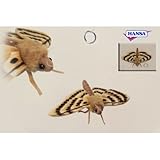 Hansa Moth Plush [並行輸入品]