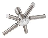 Danze D461681BN 8-Inch Sunray Showerhead, Brushed Nickel