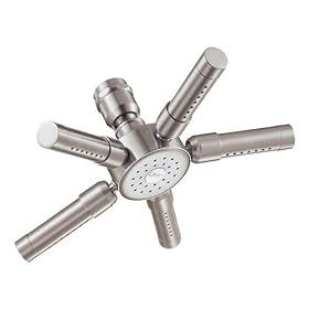 Danze D461681BN 8-Inch Sunray Showerhead, Brushed Nickel
