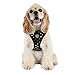 Puppia Authentic Modern Dotty Harness A, Medium, Black