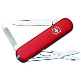 Ambassador